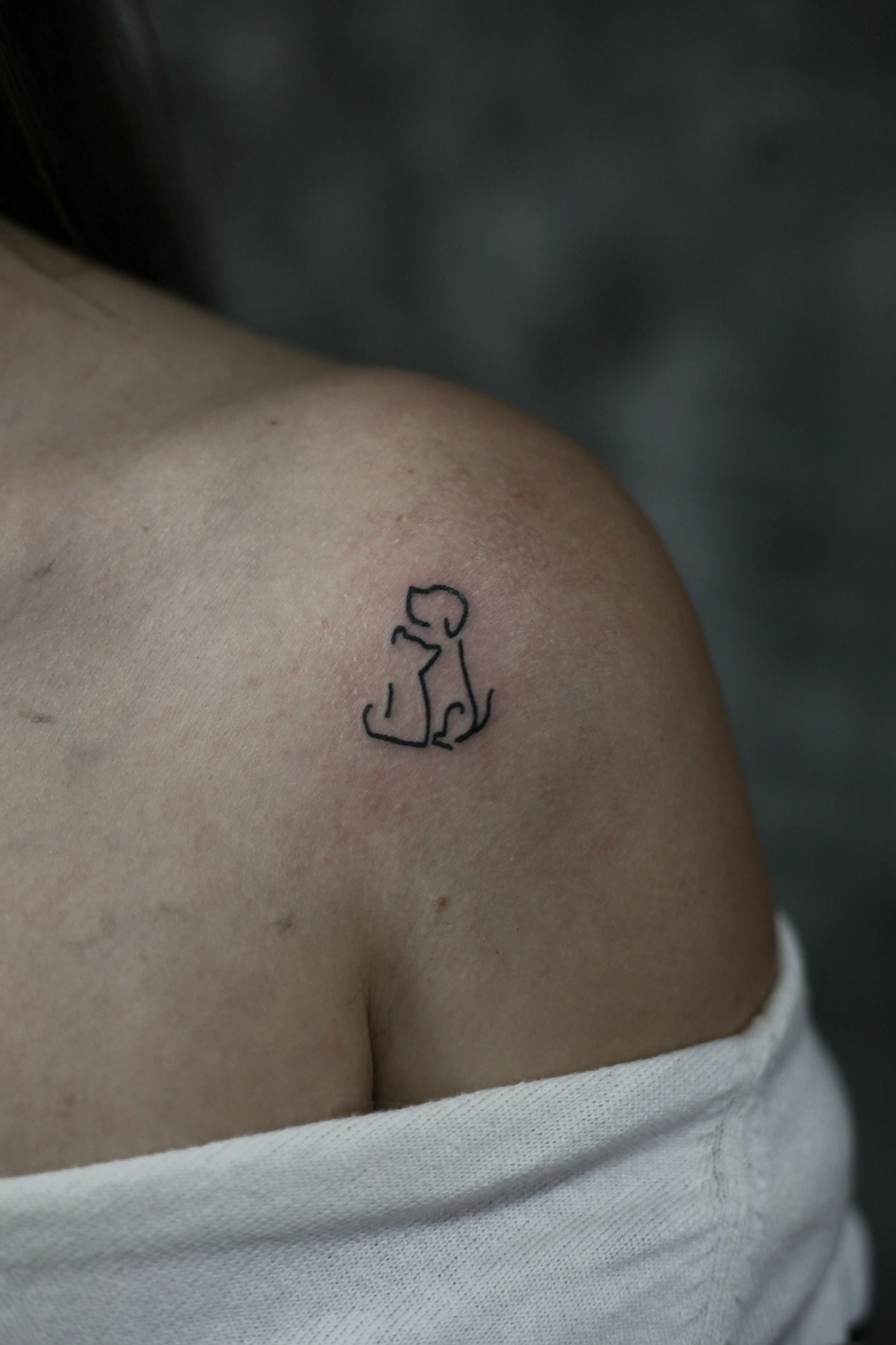 Tetovaža Pas i mačka - Fine Line & Minimal rad Eternal Art studio